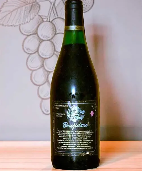 Vino Brujidero 1966