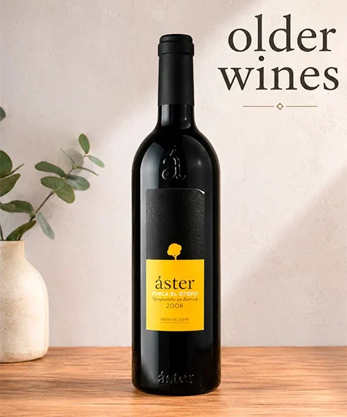 Aster Finca El Otero 2006