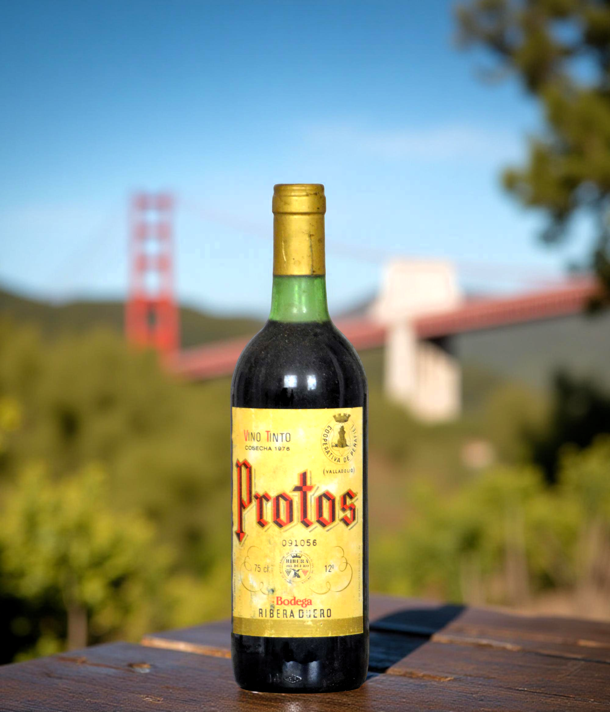 Protos 1976 Protos 1976