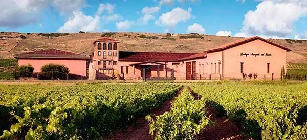 Marques Del Puerto Bodega - Venta de vinos antiguos Marqués del Puerto Bodega