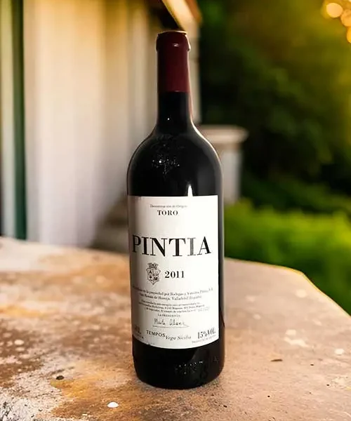 Pintia 2011 Magnum