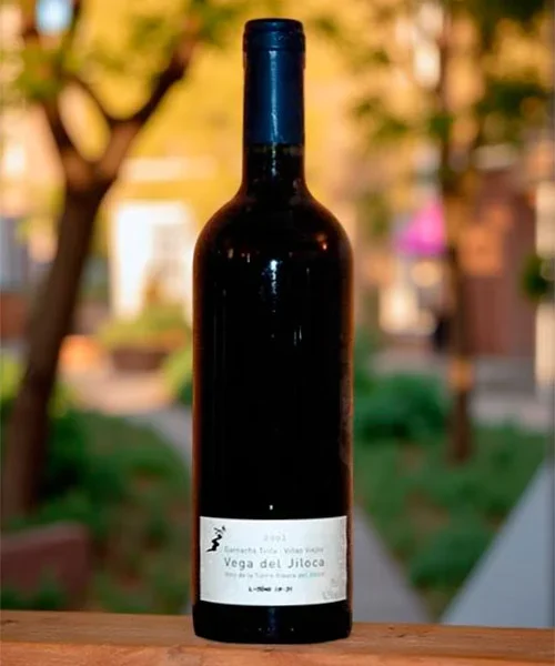 Vega Del Jiloca 2003