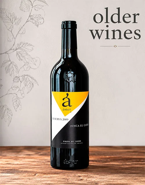 Aster Finca El Cano Reserva 2005 - Venta de vinos antiguos Aster Finca El Caño Reserva 2005