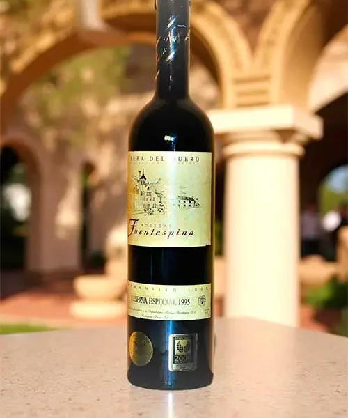 Fuentespina Reserva Especial 1995