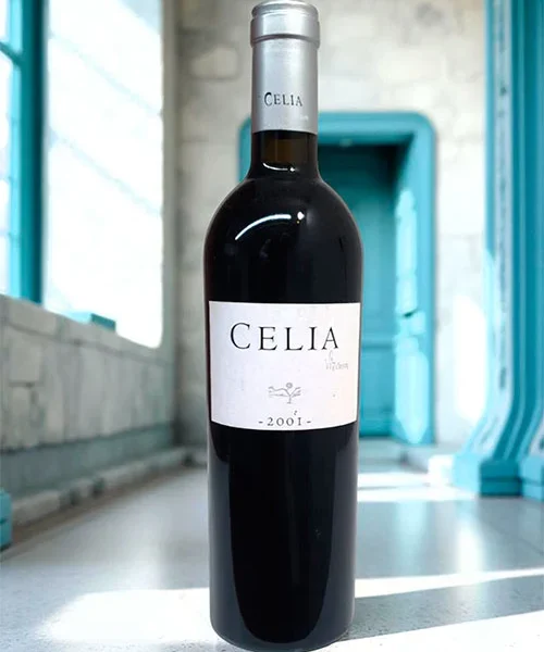 Celia Vizcarra 2001
