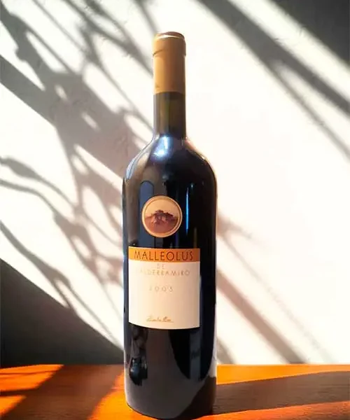 Malleolus Valderramiro 2003 Magnum
