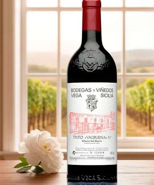Vega Sicilia Valbuena 5 Año 1997