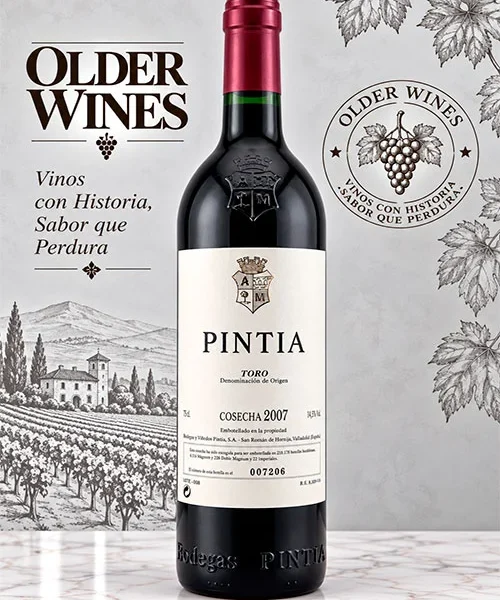 Pintia 2007