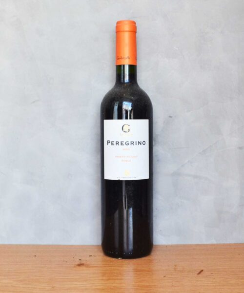 peregrino roble 2008